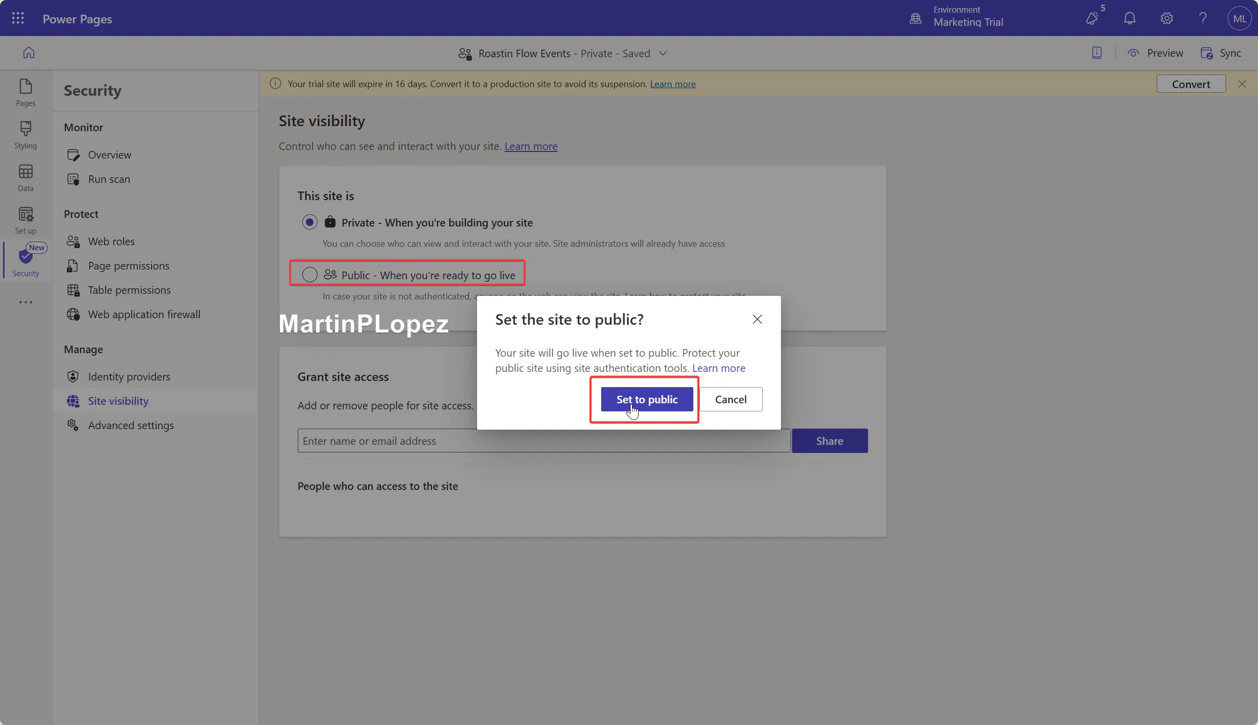 Set it when you want to make your portal public