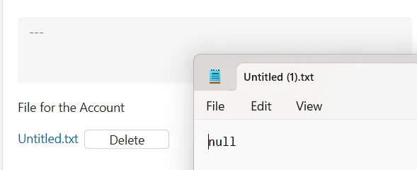 untitled.txt is the default null value with "null" written inside